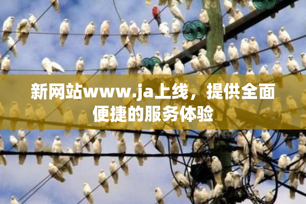 新网站www.ja上线，提供全面便捷的服务体验