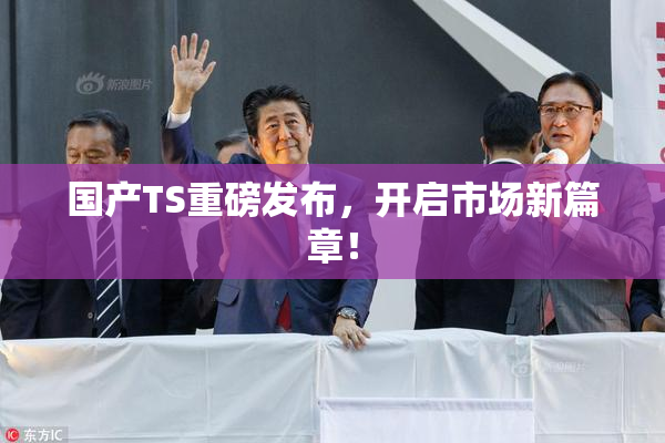 国产TS重磅发布，开启市场新篇章！