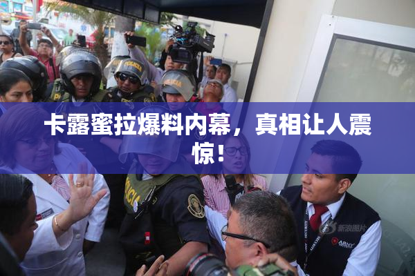 卡露蜜拉爆料内幕，真相让人震惊！