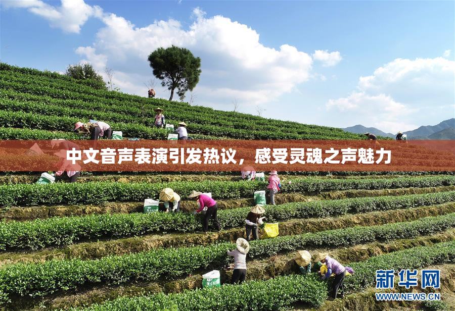 中文音声表演引发热议，感受灵魂之声魅力