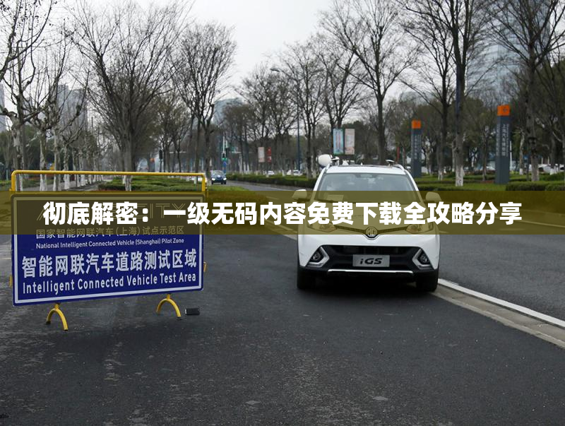 彻底解密：一级无码内容免费下载全攻略分享