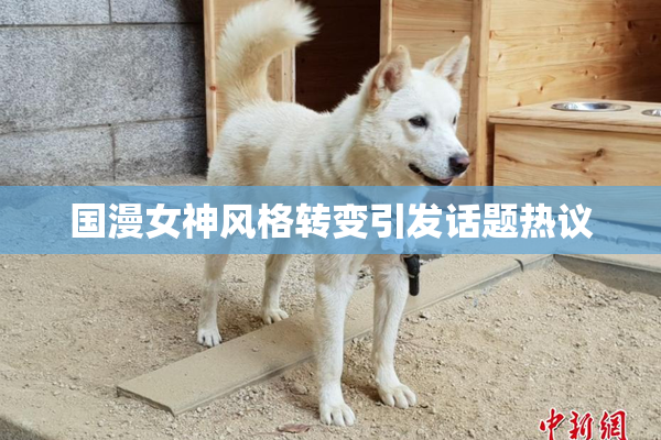 国漫女神风格转变引发话题热议
