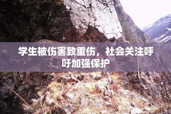 学生被伤害致重伤，社会关注呼吁加强保护
