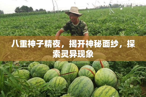 八重神子精夜，揭开神秘面纱，探索灵异现象