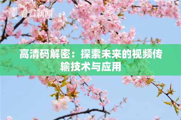 高清码解密：探索未来的视频传输技术与应用