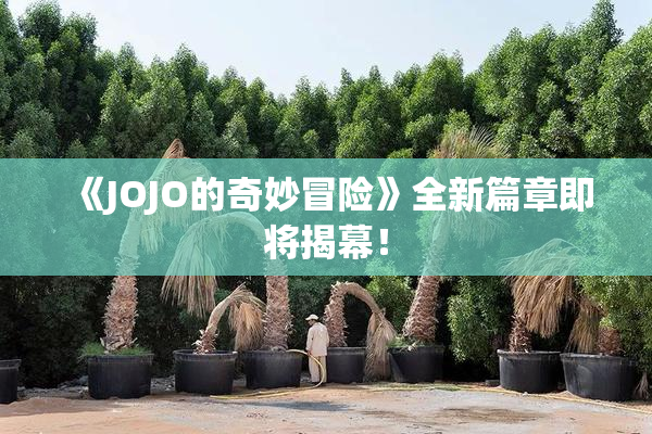 《JOJO的奇妙冒险》全新篇章即将揭幕！