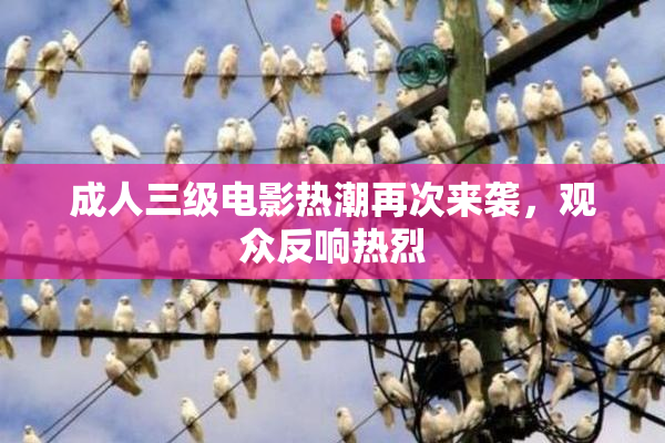 成人三级电影热潮再次来袭，观众反响热烈