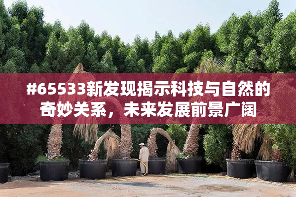 #65533新发现揭示科技与自然的奇妙关系，未来发展前景广阔