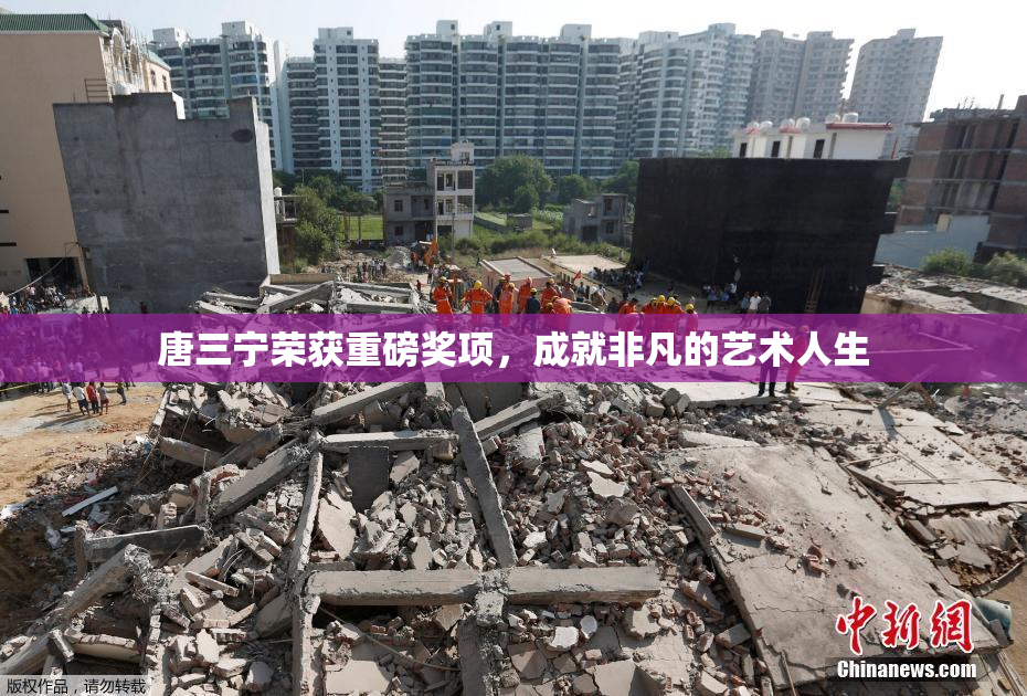 唐三宁荣获重磅奖项，成就非凡的艺术人生