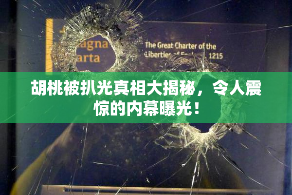 胡桃被扒光真相大揭秘，令人震惊的内幕曝光！