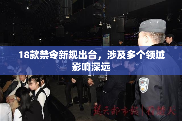 18款禁令新规出台，涉及多个领域影响深远