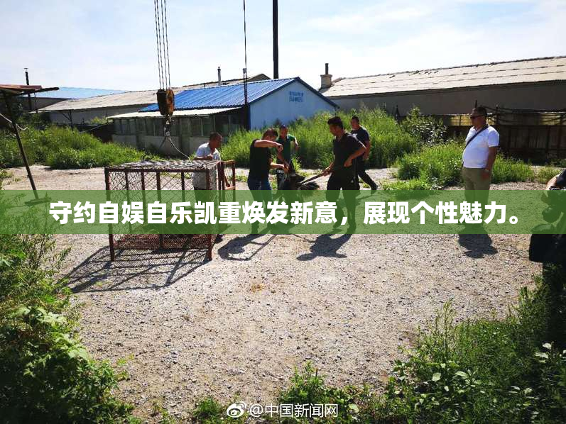 守约自娱自乐凯重焕发新意，展现个性魅力。