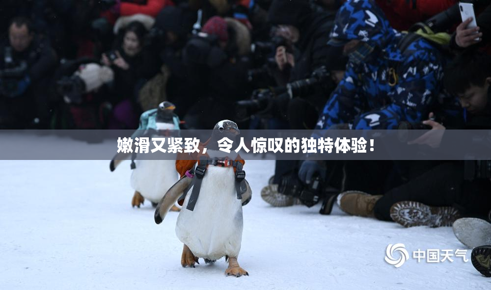 嫩滑又紧致，令人惊叹的独特体验！