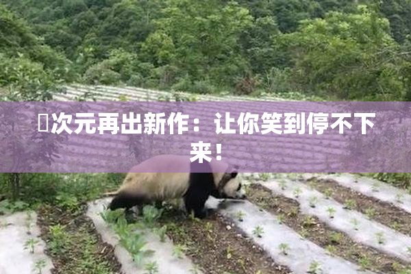 囧次元再出新作：让你笑到停不下来！
