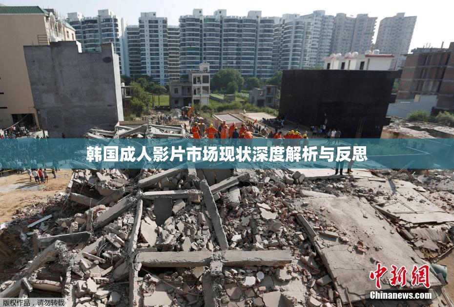 韩国成人影片市场现状深度解析与反思