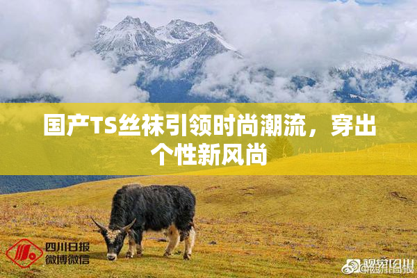 国产TS丝袜引领时尚潮流，穿出个性新风尚