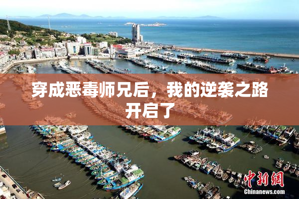 穿成恶毒师兄后，我的逆袭之路开启了