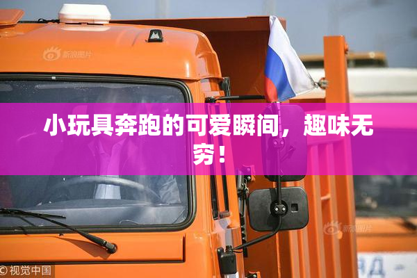 小玩具奔跑的可爱瞬间，趣味无穷！