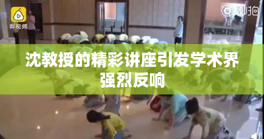 沈教授的精彩讲座引发学术界强烈反响