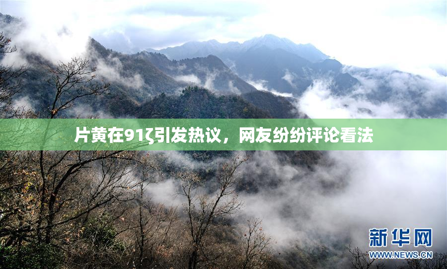 片黄在91ζ引发热议，网友纷纷评论看法