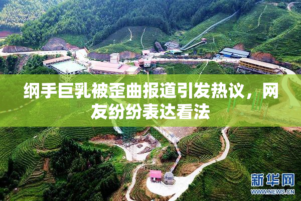 纲手巨乳被歪曲报道引发热议，网友纷纷表达看法