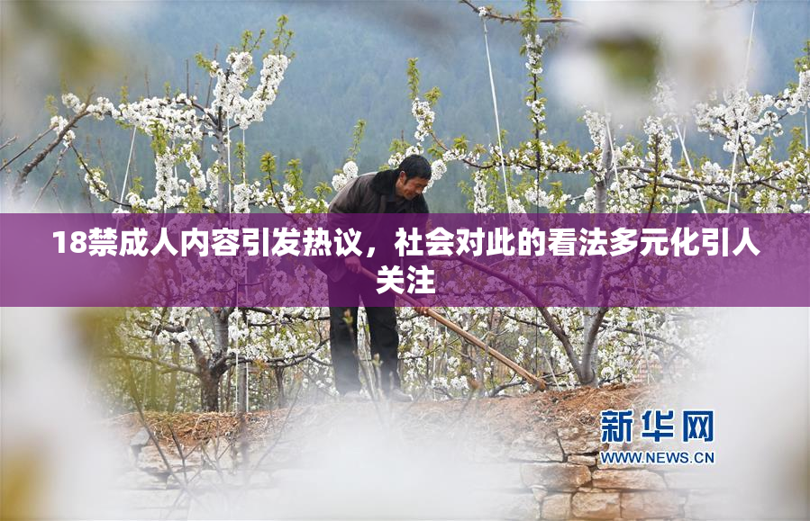 18禁成人内容引发热议，社会对此的看法多元化引人关注