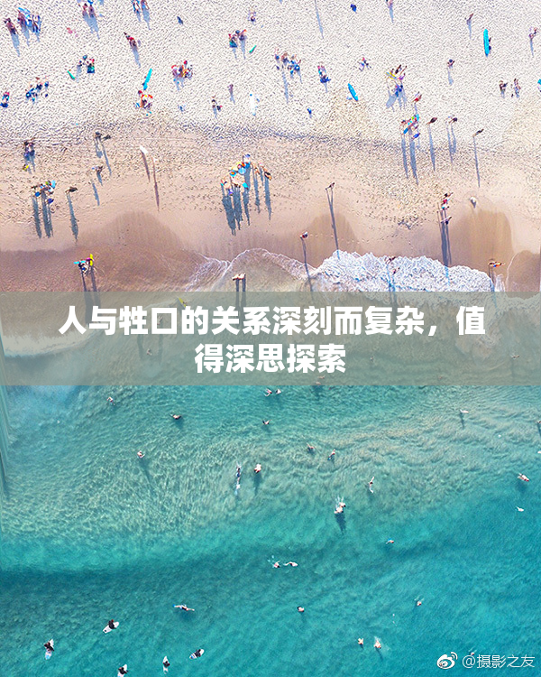 人与牲口的关系深刻而复杂，值得深思探索