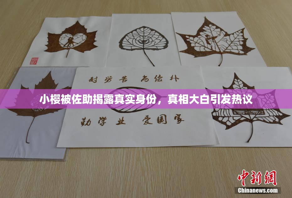 小樱被佐助揭露真实身份，真相大白引发热议