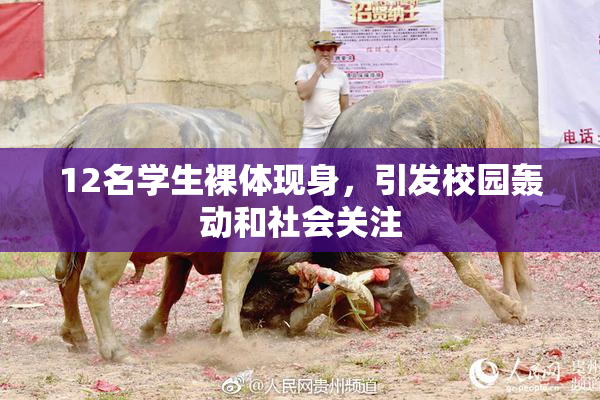 12名学生裸体现身，引发校园轰动和社会关注