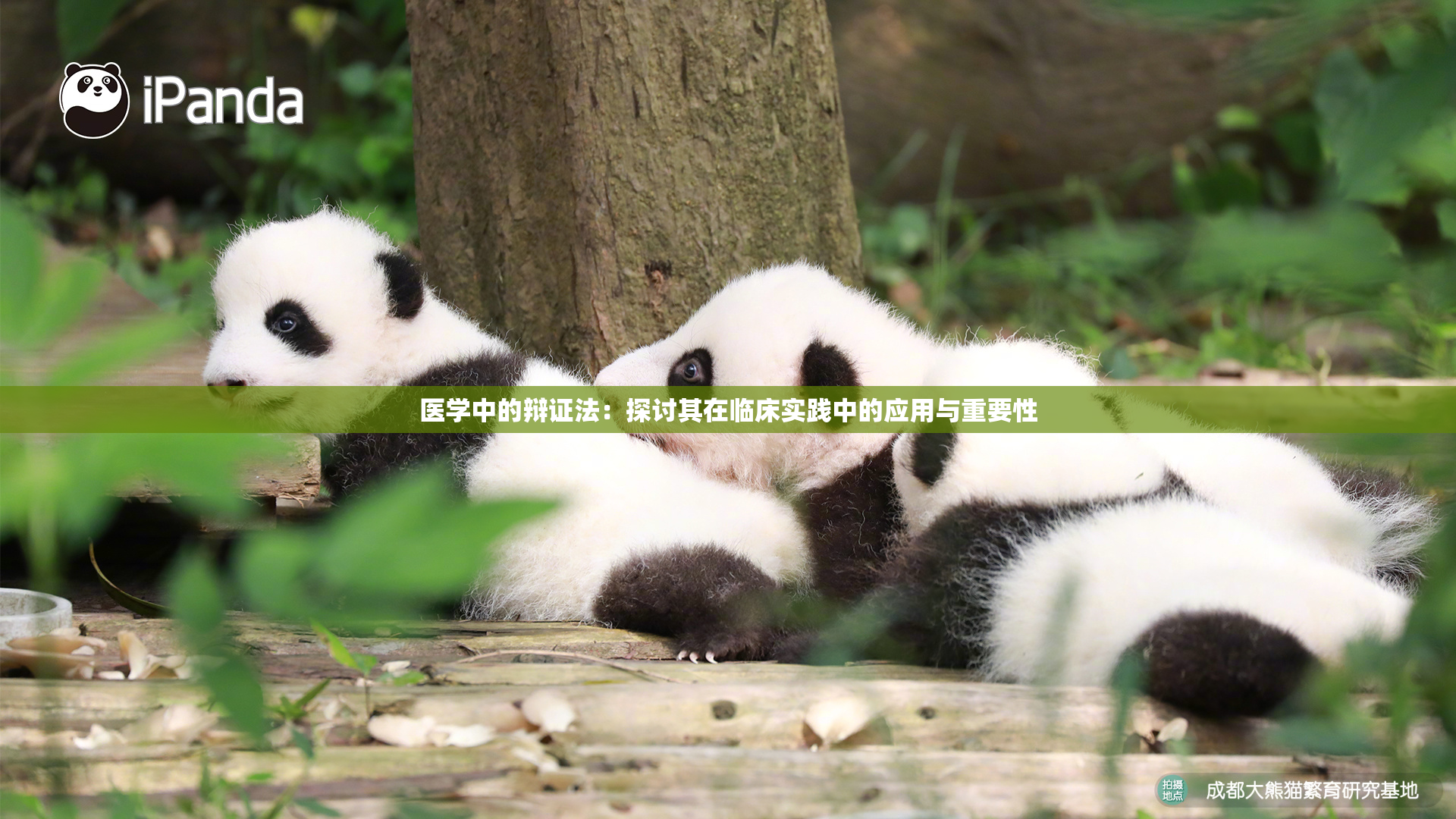医学中的辩证法：探讨其在临床实践中的应用与重要性
