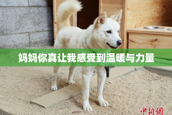 妈妈你真让我感受到温暖与力量