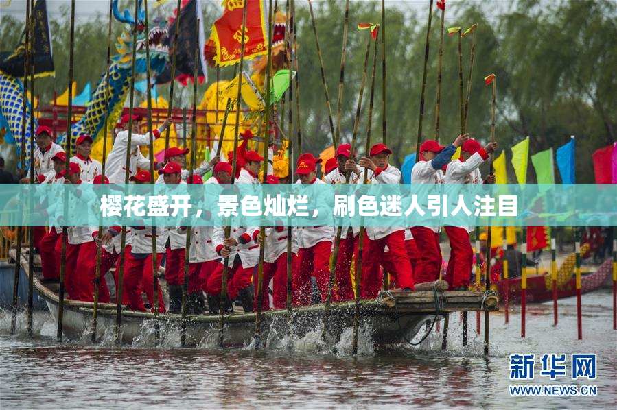 樱花盛开，景色灿烂，刷色迷人引人注目