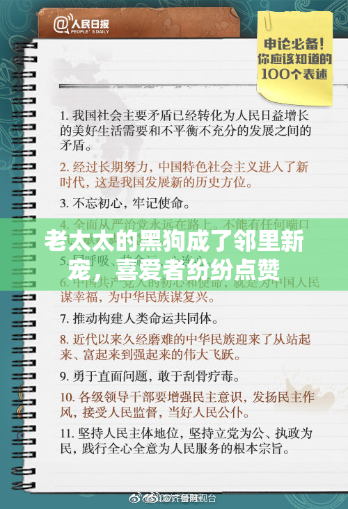 老太太的黑狗成了邻里新宠，喜爱者纷纷点赞