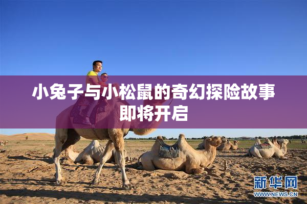 小兔子与小松鼠的奇幻探险故事即将开启