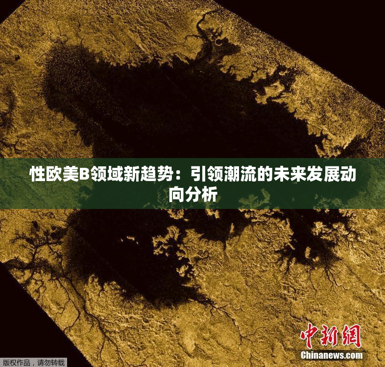 性欧美B领域新趋势：引领潮流的未来发展动向分析