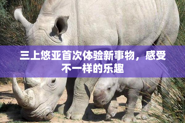 三上悠亚首次体验新事物，感受不一样的乐趣