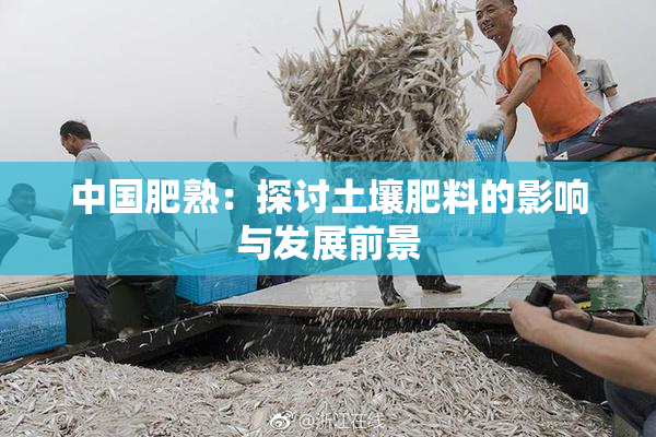 中国肥熟：探讨土壤肥料的影响与发展前景