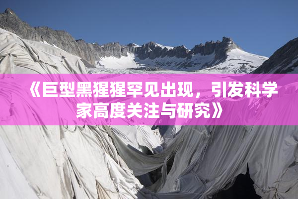 《巨型黑猩猩罕见出现，引发科学家高度关注与研究》