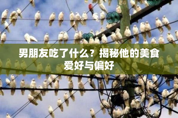 男朋友吃了什么？揭秘他的美食爱好与偏好