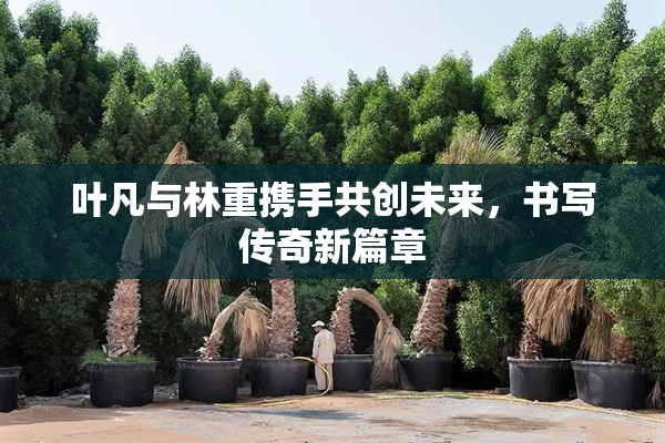 叶凡与林重携手共创未来，书写传奇新篇章