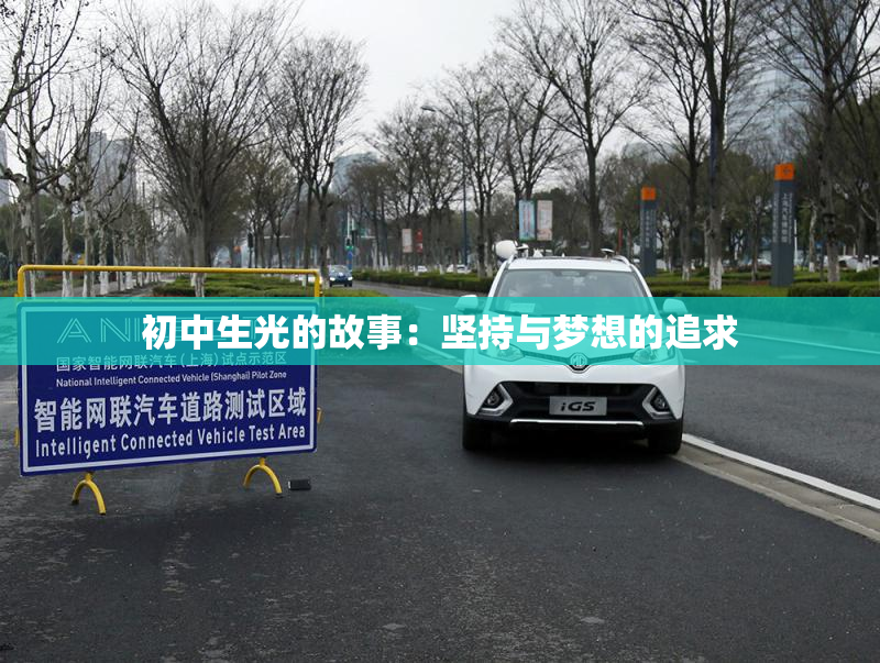 初中生光的故事：坚持与梦想的追求