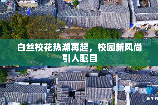 白丝校花热潮再起，校园新风尚引人瞩目