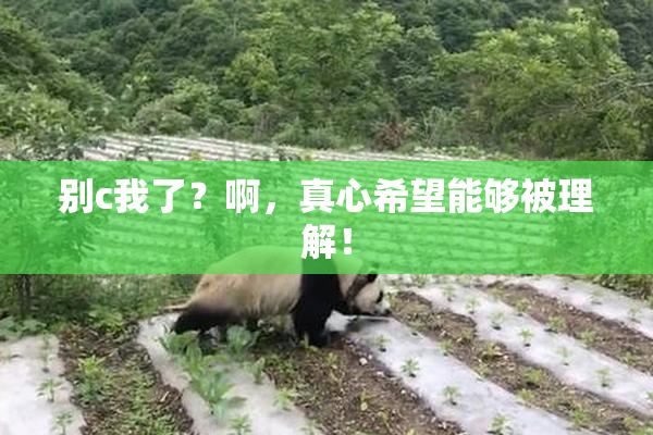 别c我了？啊，真心希望能够被理解！