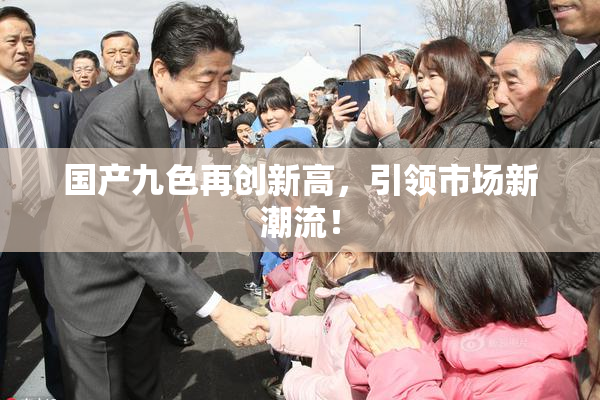 国产九色再创新高，引领市场新潮流！