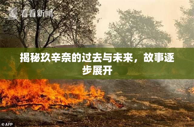揭秘玖辛奈的过去与未来，故事逐步展开