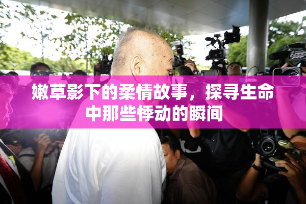嫩草影下的柔情故事，探寻生命中那些悸动的瞬间