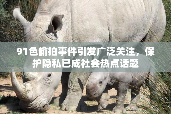 91色偷拍事件引发广泛关注，保护隐私已成社会热点话题