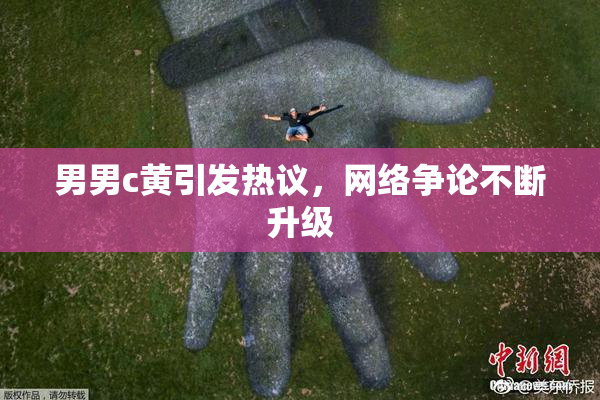 男男c黄引发热议，网络争论不断升级