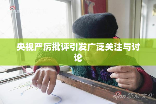 央视严厉批评引发广泛关注与讨论