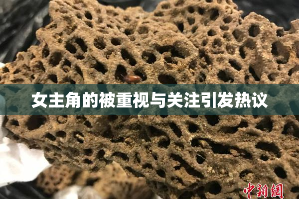 女主角的被重视与关注引发热议